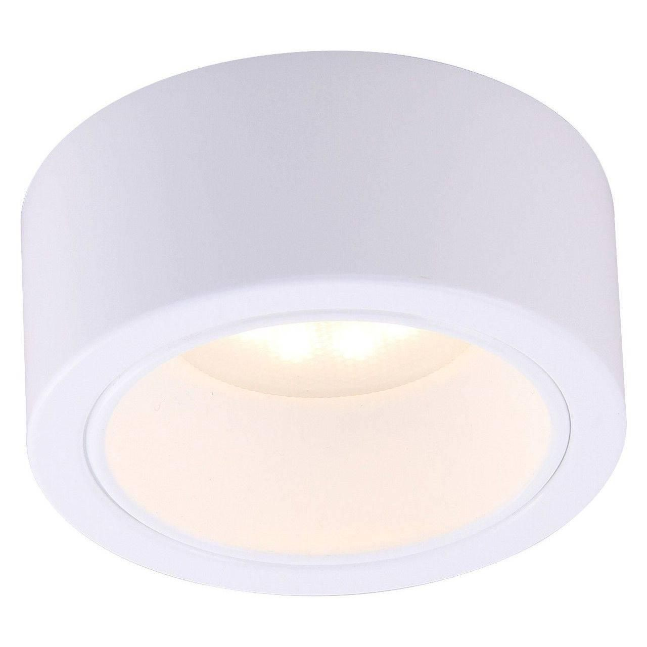 Купить Потолочный светильник Arte Lamp Effetto A5553PL-1WH в Саратове