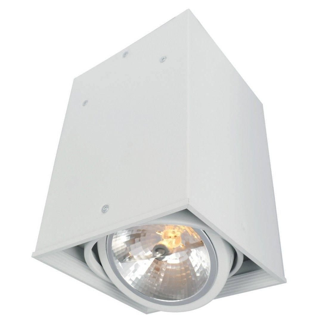 Купить Потолочный светильник Arte Lamp Cardani White A5936PL-1WH в Саратове