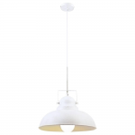 Купить Подвесной светильник Arte Lamp Martin A5213SP-1WG в Саратове
