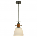 Купить Подвесной светильник Lussole Loft LSP-9846 в Саратове